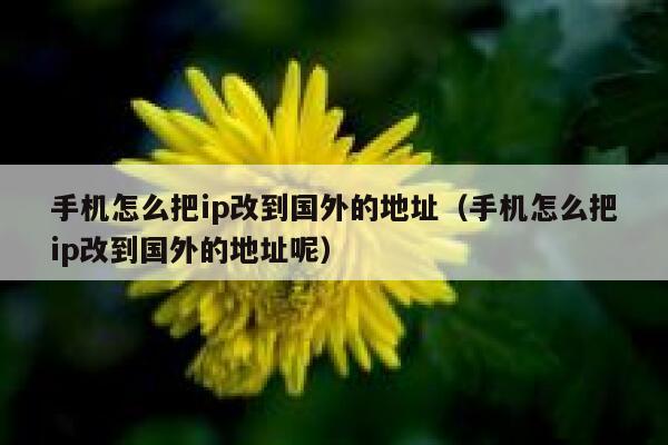 手机怎么把ip改到国外的地址（手机怎么把ip改到国外的地址呢） 第1张