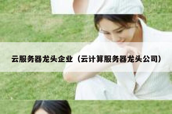 云服务器龙头企业（云计算服务器龙头公司） 第1张