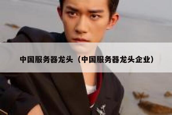 中国服务器龙头（中国服务器龙头企业） 第1张