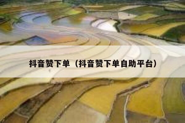 抖音赞下单（抖音赞下单自助平台） 第1张