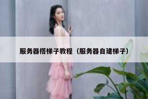 服务器搭梯子教程（服务器自建梯子） 第1张