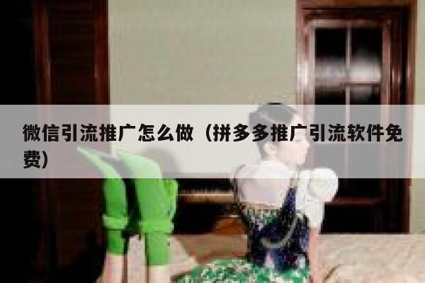 微信引流推广怎么做（拼多多推广引流软件免费） 第1张