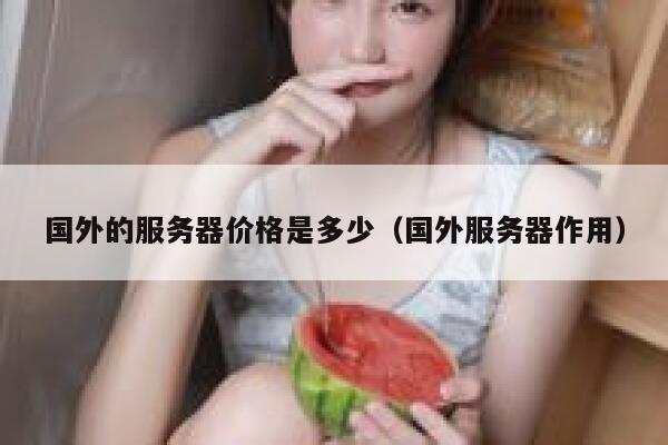 国外的服务器价格是多少（国外服务器作用） 第1张