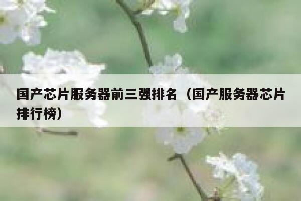 国产芯片服务器前三强排名（国产服务器芯片排行榜） 第1张