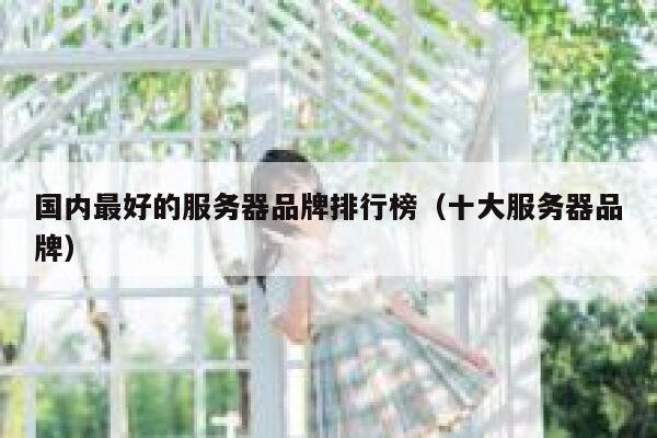 国内最好的服务器品牌排行榜（十大服务器品牌） 第1张
