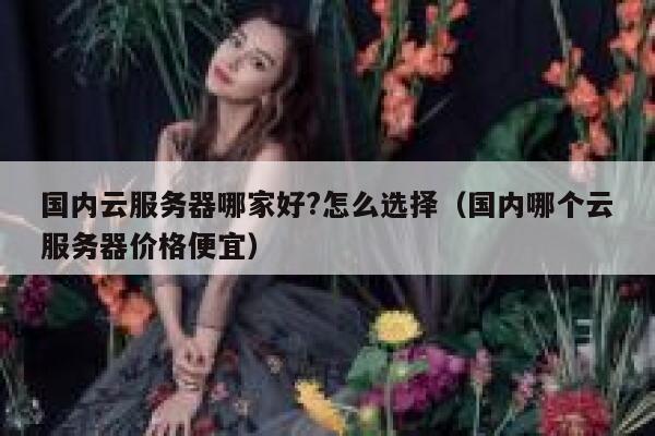 国内云服务器哪家好?怎么选择（国内哪个云服务器价格便宜） 第1张