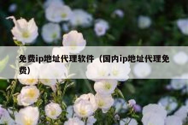 免费ip地址代理软件（国内ip地址代理免费） 第1张