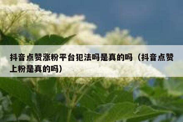 抖音点赞涨粉平台犯法吗是真的吗（抖音点赞上粉是真的吗） 第1张