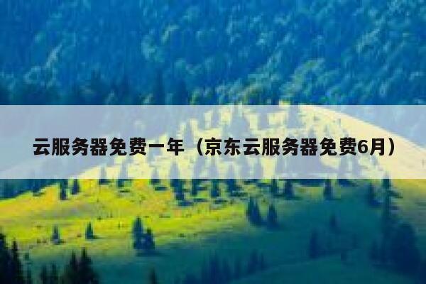 云服务器免费一年（京东云服务器免费6月） 第1张