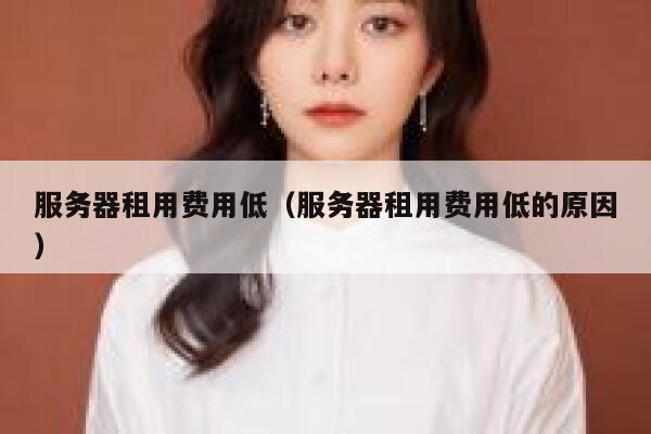 服务器租用费用低（服务器租用费用低的原因） 第1张