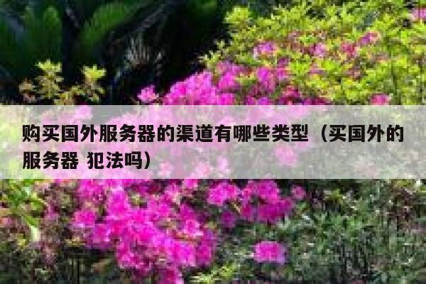 购买国外服务器的渠道有哪些类型（买国外的服务器 犯法吗） 第1张