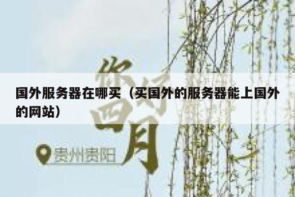 国外服务器在哪买（买国外的服务器能上国外的网站） 第1张