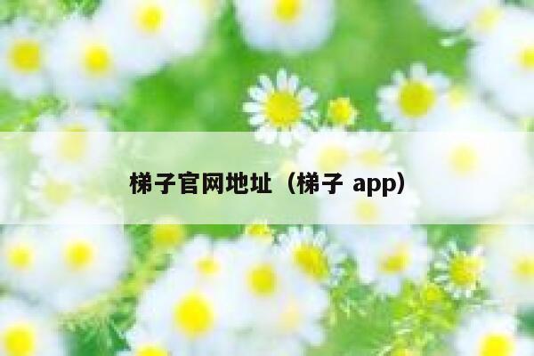 梯子官网地址（梯子 app） 第1张