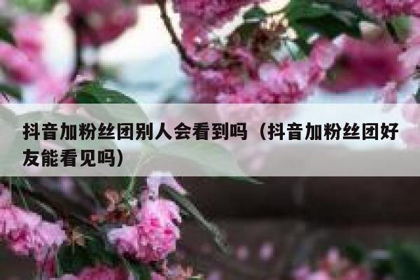 抖音加粉丝团别人会看到吗（抖音加粉丝团好友能看见吗） 第1张
