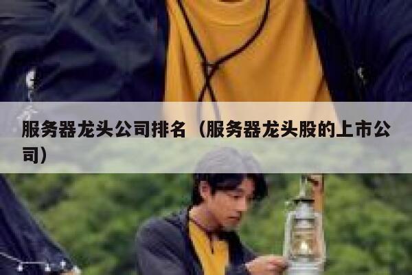 服务器龙头公司排名（服务器龙头股的上市公司） 第1张