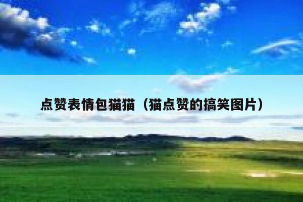 点赞表情包猫猫（猫点赞的搞笑图片） 第1张