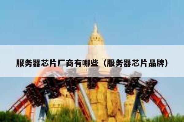 服务器芯片厂商有哪些（服务器芯片品牌） 第1张