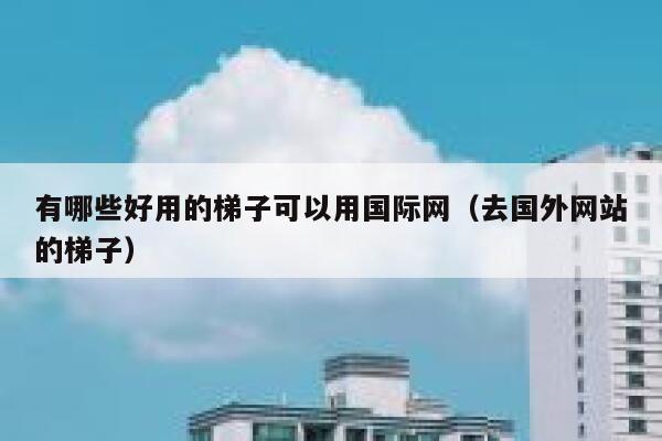 有哪些好用的梯子可以用国际网（去国外网站的梯子） 第1张