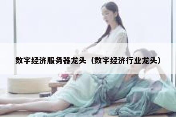 数字经济服务器龙头（数字经济行业龙头） 第1张