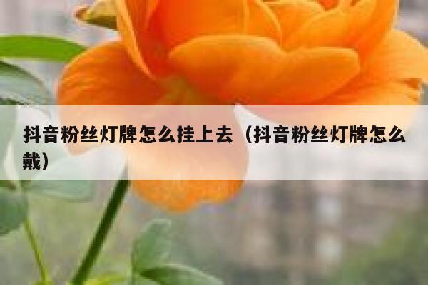 抖音粉丝灯牌怎么挂上去（抖音粉丝灯牌怎么戴） 第1张