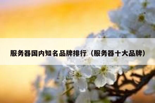 服务器国内知名品牌排行（服务器十大品牌） 第1张