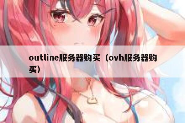 outline服务器购买（ovh服务器购买） 第1张