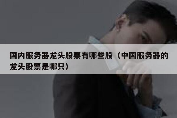 国内服务器龙头股票有哪些股（中国服务器的龙头股票是哪只） 第1张