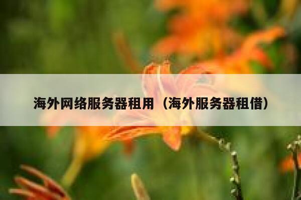 海外网络服务器租用（海外服务器租借） 第1张