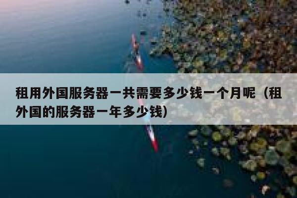 租用外国服务器一共需要多少钱一个月呢（租外国的服务器一年多少钱） 第1张