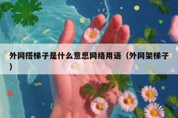 外网搭梯子是什么意思网络用语（外网架梯子） 第1张