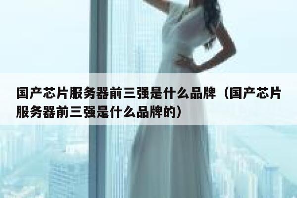 国产芯片服务器前三强是什么品牌（国产芯片服务器前三强是什么品牌的） 第1张