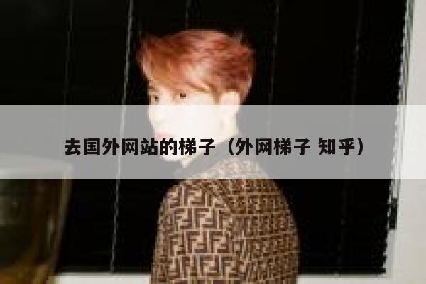 去国外网站的梯子（外网梯子 知乎） 第1张