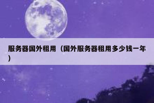 服务器国外租用（国外服务器租用多少钱一年） 第1张