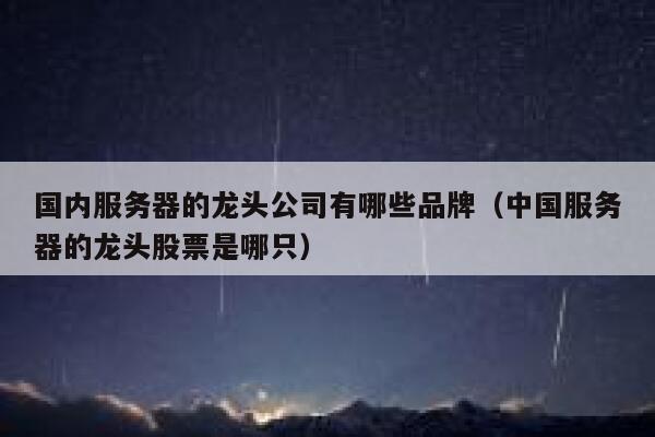 国内服务器的龙头公司有哪些品牌（中国服务器的龙头股票是哪只） 第1张