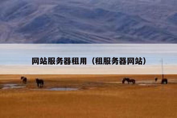 网站服务器租用（租服务器网站） 第1张