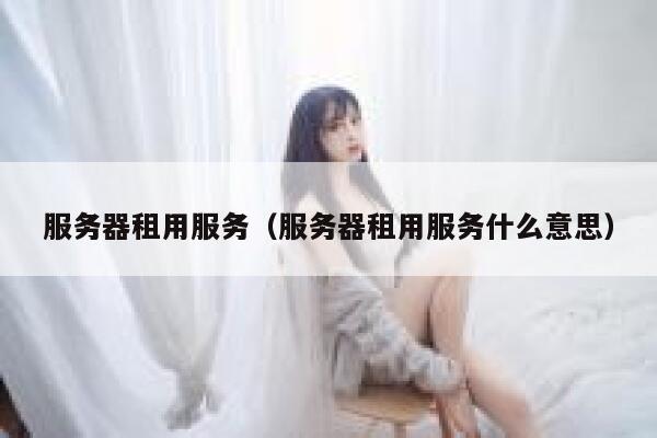 服务器租用服务（服务器租用服务什么意思） 第1张
