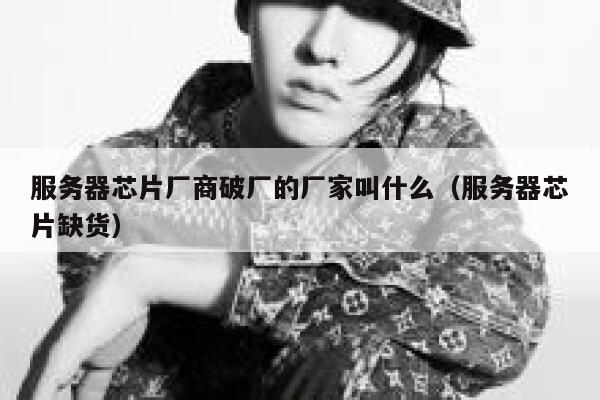 服务器芯片厂商破厂的厂家叫什么（服务器芯片缺货） 第1张