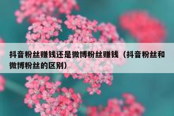 抖音粉丝赚钱还是微博粉丝赚钱（抖音粉丝和微博粉丝的区别） 第1张