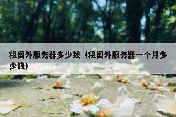 租国外服务器多少钱（租国外服务器一个月多少钱） 第1张