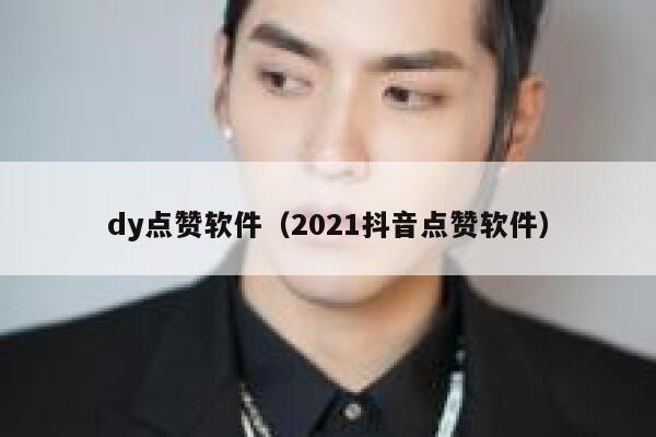 dy点赞软件（2021抖音点赞软件） 第1张