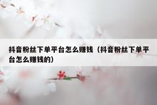 抖音粉丝下单平台怎么赚钱（抖音粉丝下单平台怎么赚钱的） 第1张