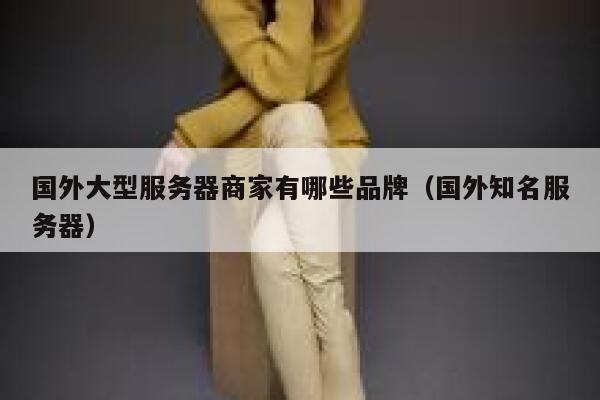 国外大型服务器商家有哪些品牌（国外知名服务器） 第1张