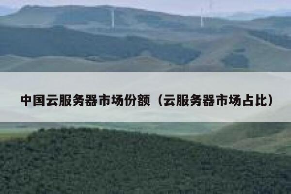 中国云服务器市场份额（云服务器市场占比） 第1张
