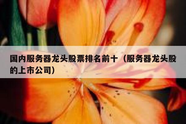 国内服务器龙头股票排名前十（服务器龙头股的上市公司） 第1张