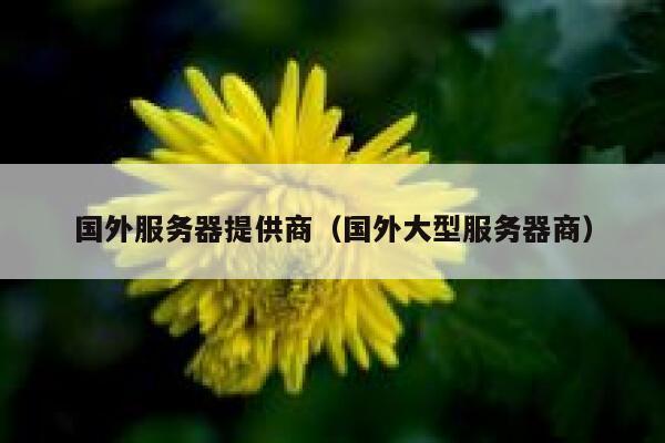 国外服务器提供商（国外大型服务器商） 第1张