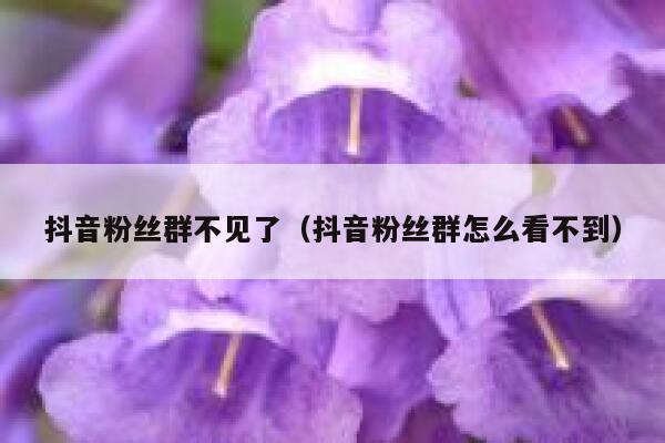 抖音粉丝群不见了（抖音粉丝群怎么看不到） 第1张