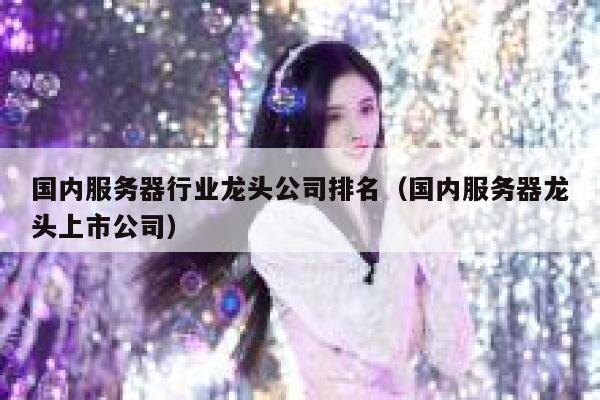 国内服务器行业龙头公司排名（国内服务器龙头上市公司） 第1张