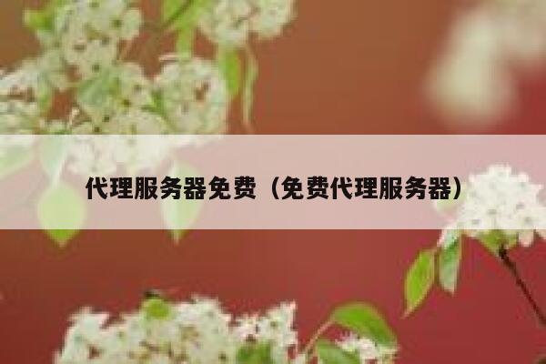 代理服务器免费（免费代理服务器） 第1张