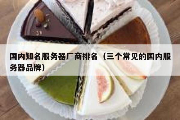国内知名服务器厂商排名（三个常见的国内服务器品牌） 第1张