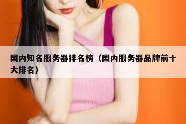 国内知名服务器排名榜（国内服务器品牌前十大排名） 第1张
